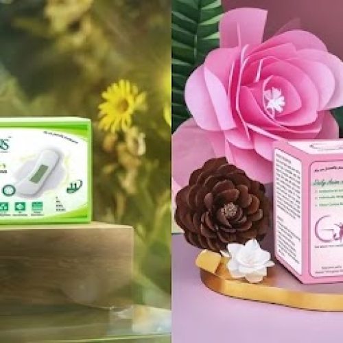 Revolutionizing Women’s Hygiene: Introducing the Gyns Anion Sanitary Napkins & Panty Liners